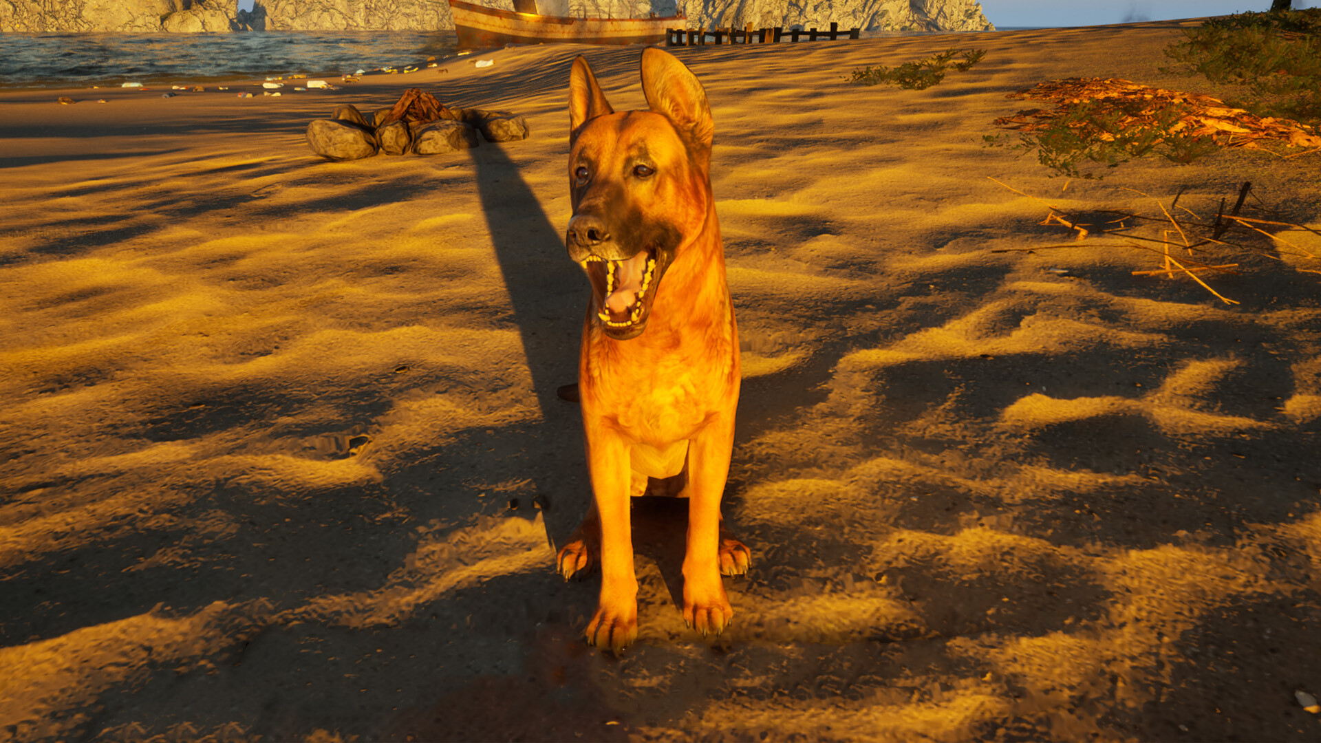 重建你的岛屿/Restore Your Island