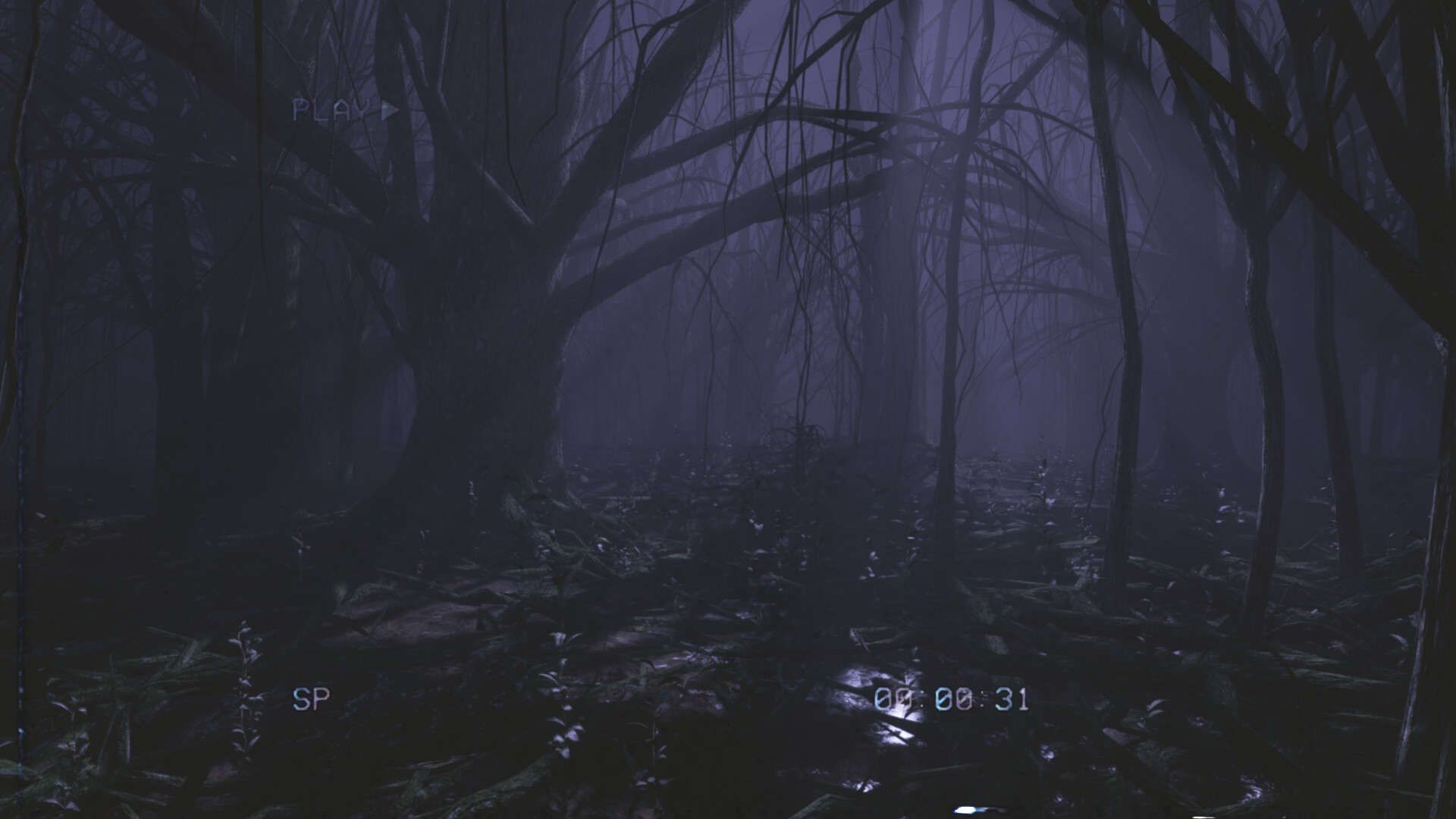 后室录像带/Backrooms Media 截图 12