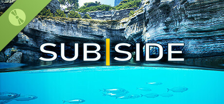 Subside Demo