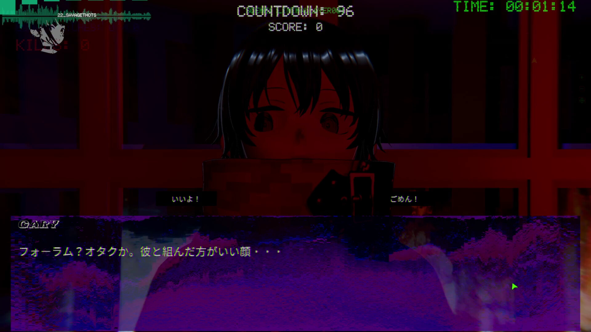 Image 33