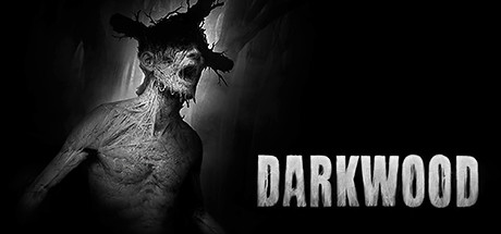 《阴暗森林/Darkwood》免安装中文版|迅雷百度云下载