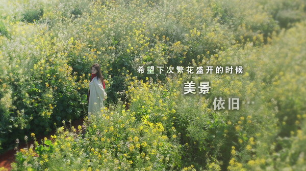 这个是真的喜欢！ - PC平台资源截图 3