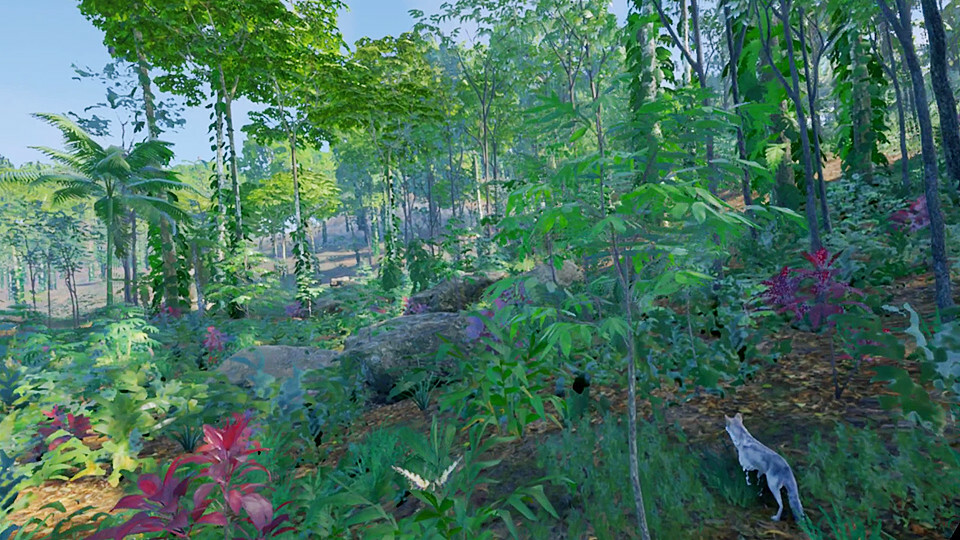 昆虫模拟飞行 (Insect Flight Simulator VR）