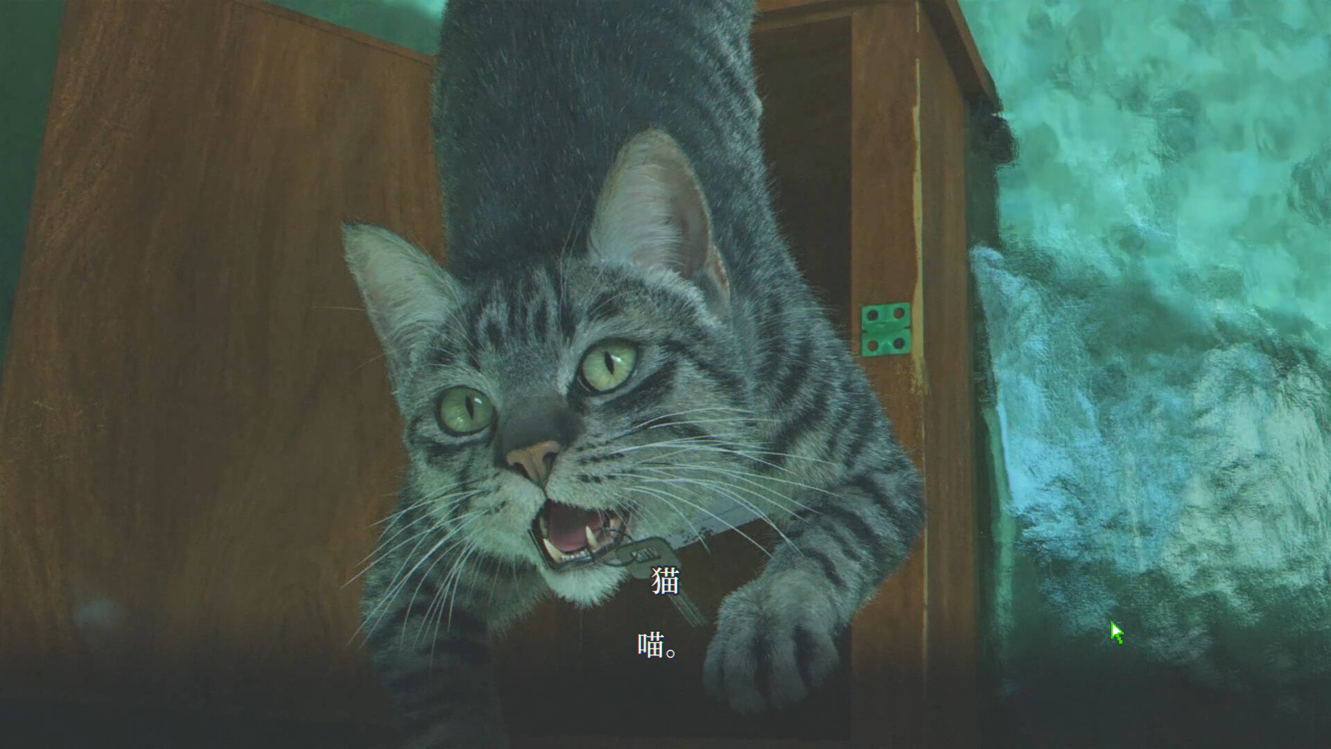 杀青|正式版 - 13
