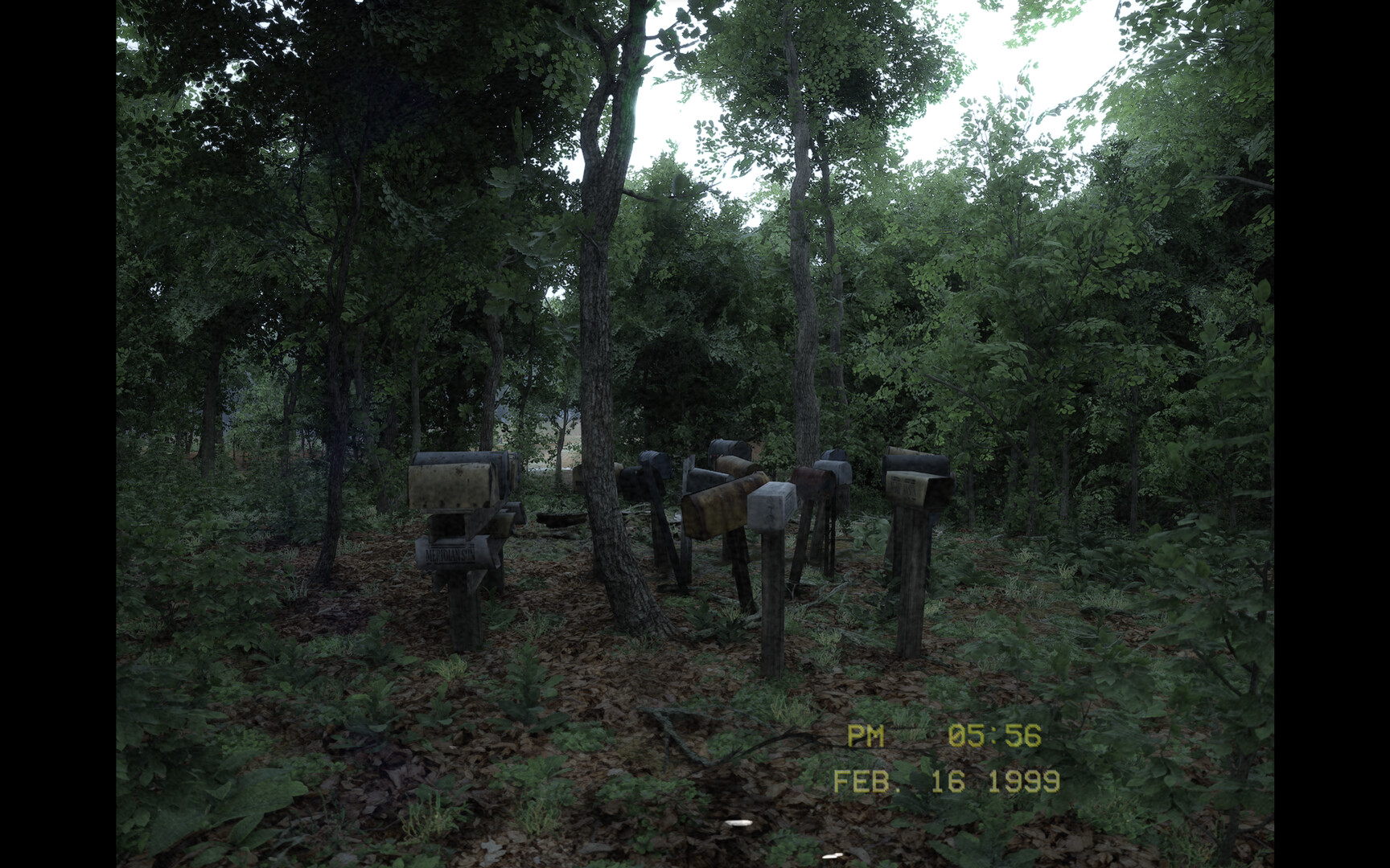 Image 10