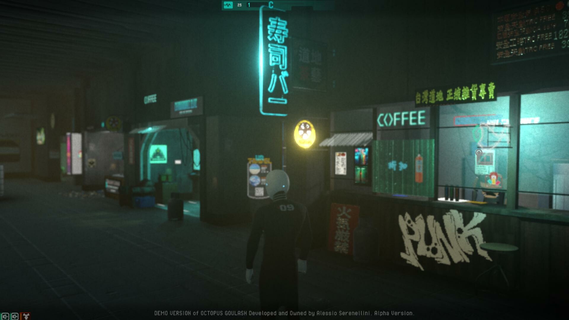 Image 12