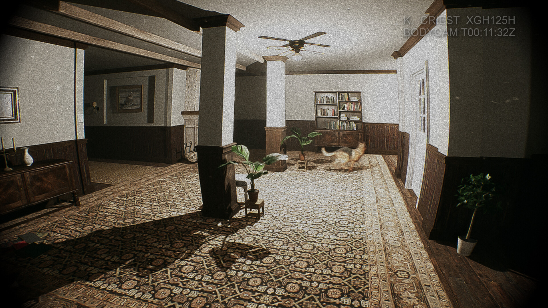 Image 7