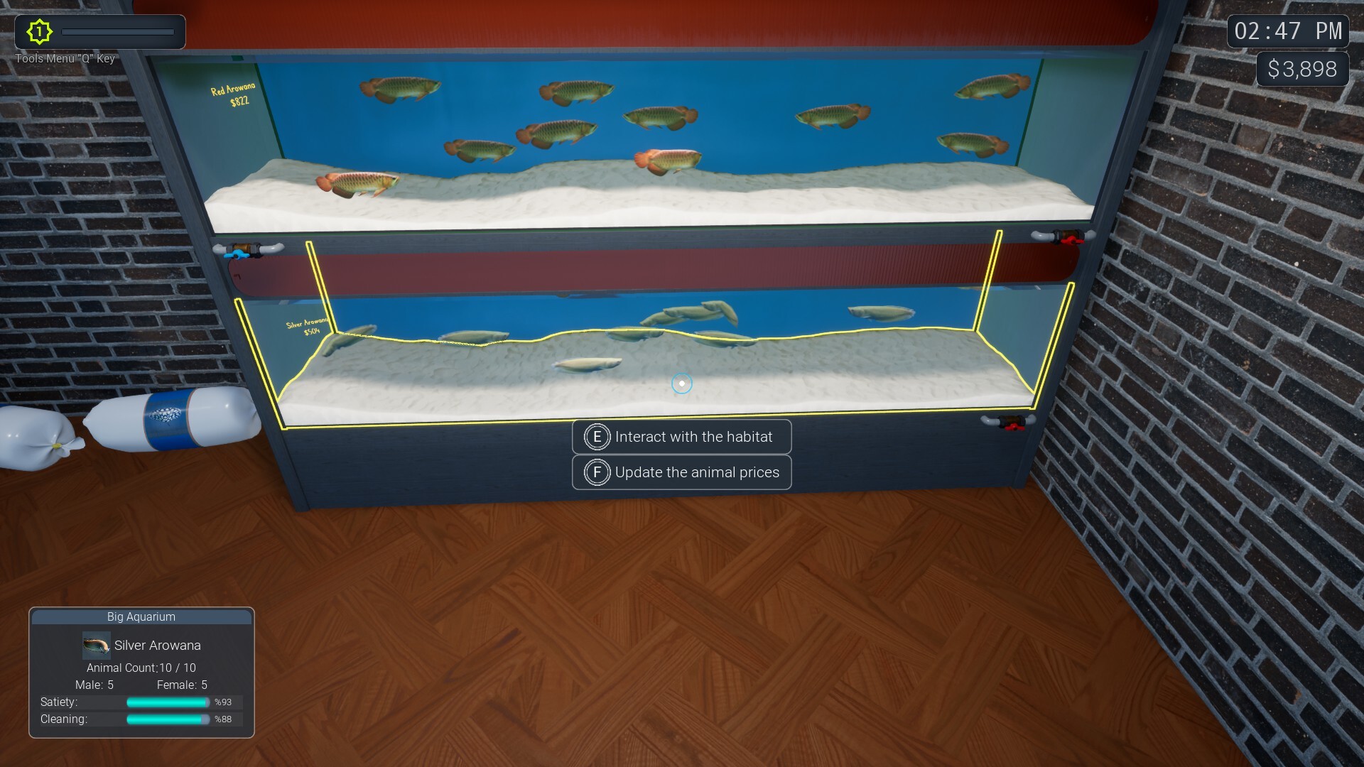 图片[10]-异域风情2：宠物店模拟器（Exotica 2 Pet Shop Simulator）免安装中文版下载-蒸汽游戏宝库 - 高质量Steam单机游戏下载站