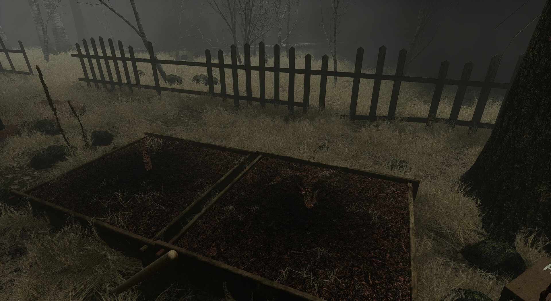 Image 22