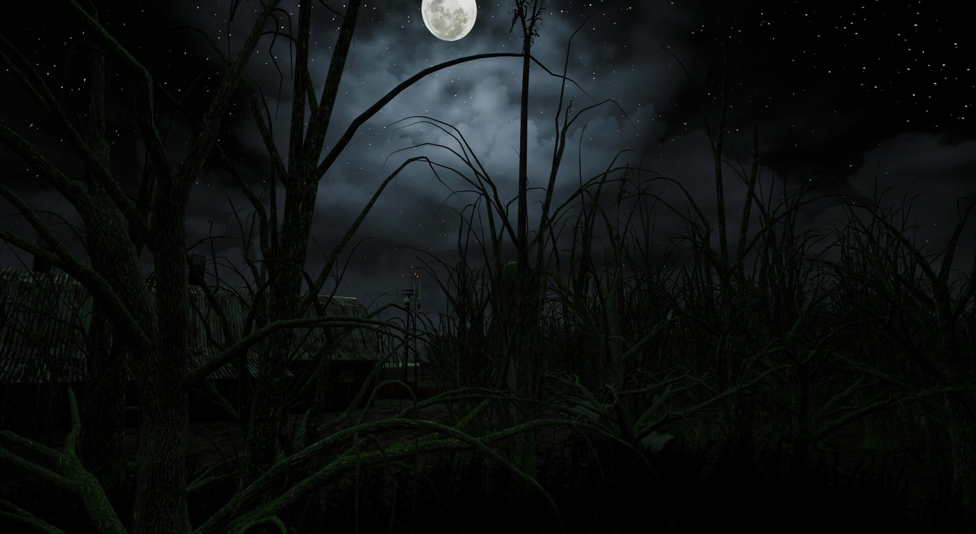 Image 31