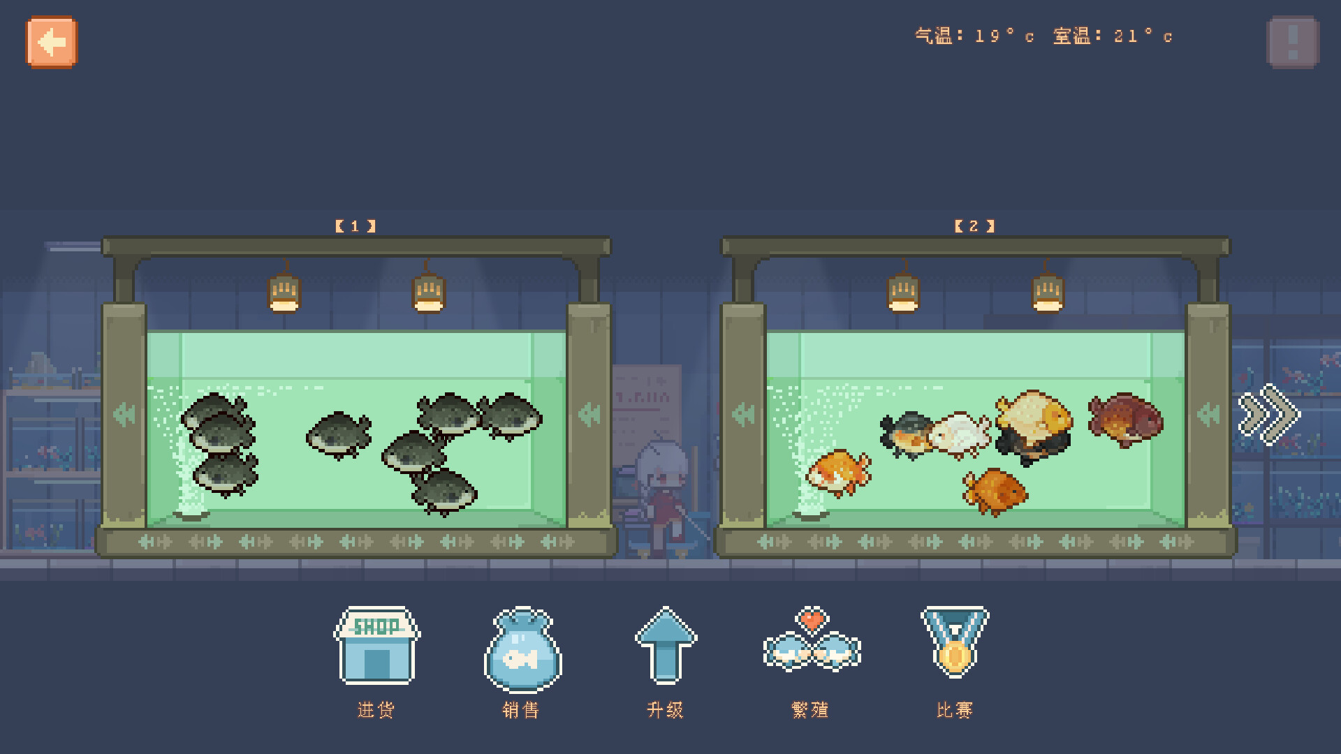 图片[4]-宠物街的金鱼姬（Pet Street Story）Build.24875498 [中文][0.6G]-极客游戏
