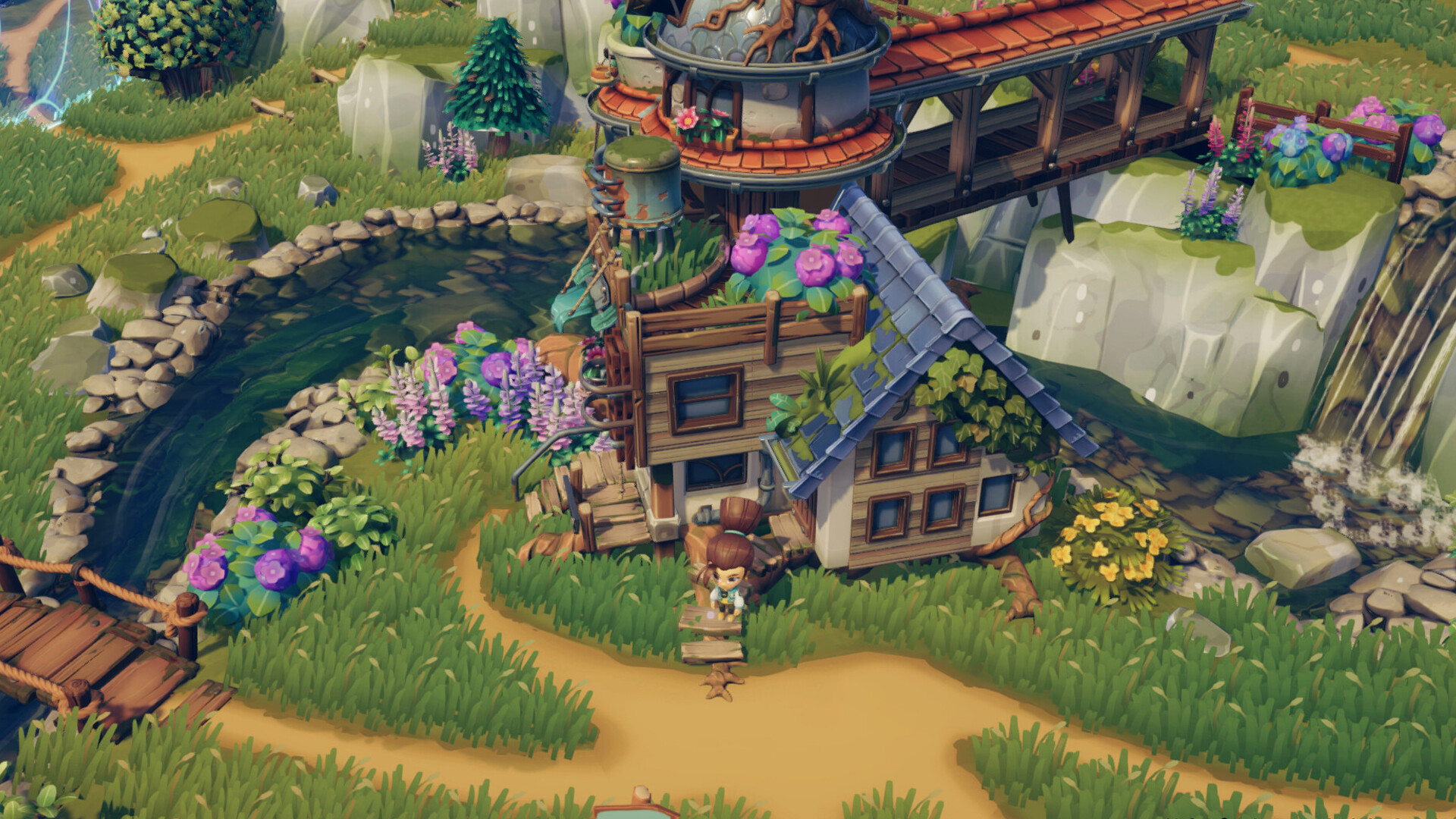 Image 5
