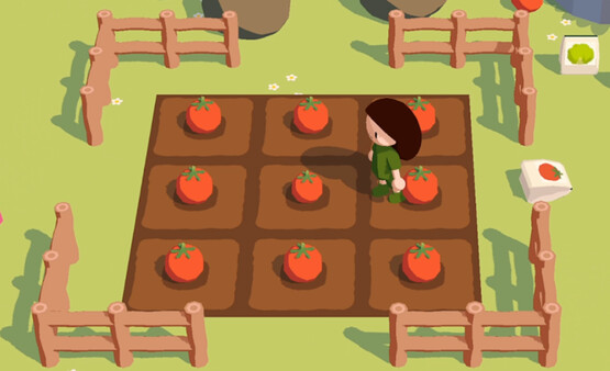 舒舒服服小岛时光 图片 7