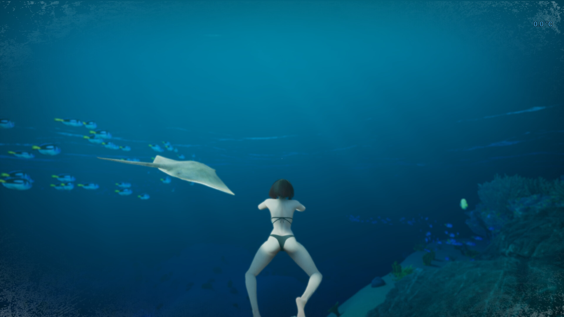 浅海漫游|官方中文|Shallow Sea Roaming - 7