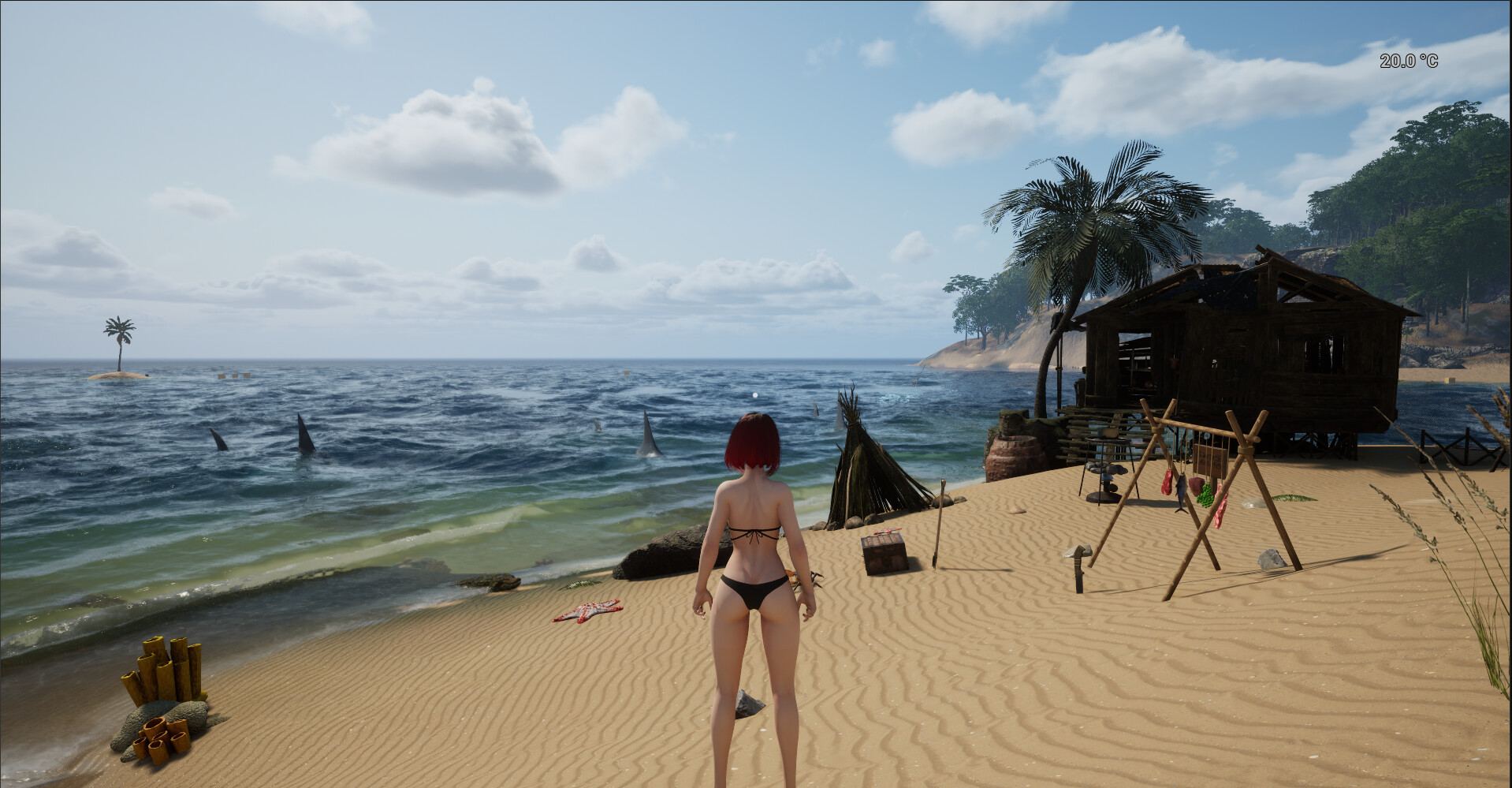 浅海漫游|官方中文|Shallow Sea Roaming - 3