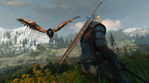 图片[2]-巫师3：狂猎 — 重制版/The Witcher 3: Wild Hunt — Remastered-悟界ShareHub