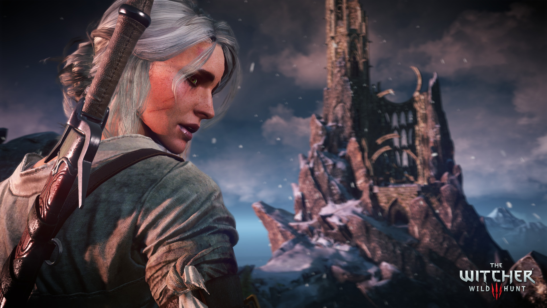 巫师3：狂猎次世代版|v4.04.H3|官方中文|支持手柄|The Witcher 3: Wild Hunt - 10