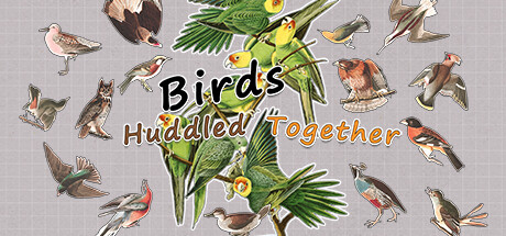 挤在一起的鸟鸟 | Birds Huddled Together