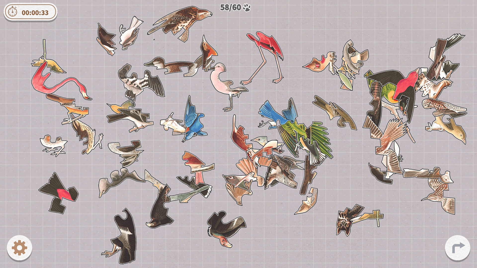 挤在一起的鸟鸟|官方中文|Birds Huddled Together - 12