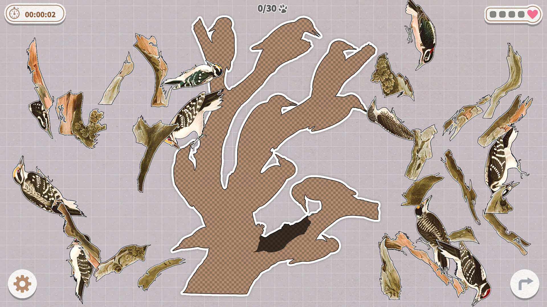 挤在一起的鸟鸟|官方中文|Birds Huddled Together - 8