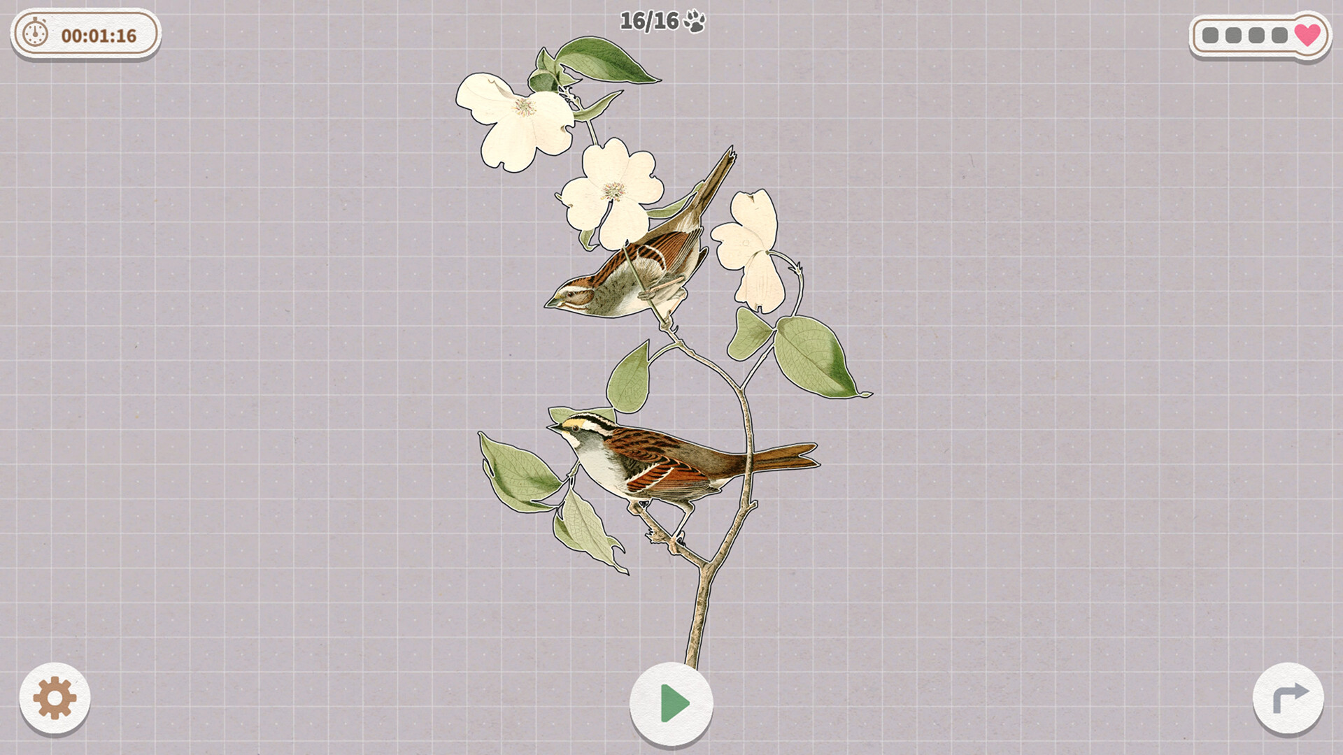 挤在一起的鸟鸟|官方中文|Birds Huddled Together - 5