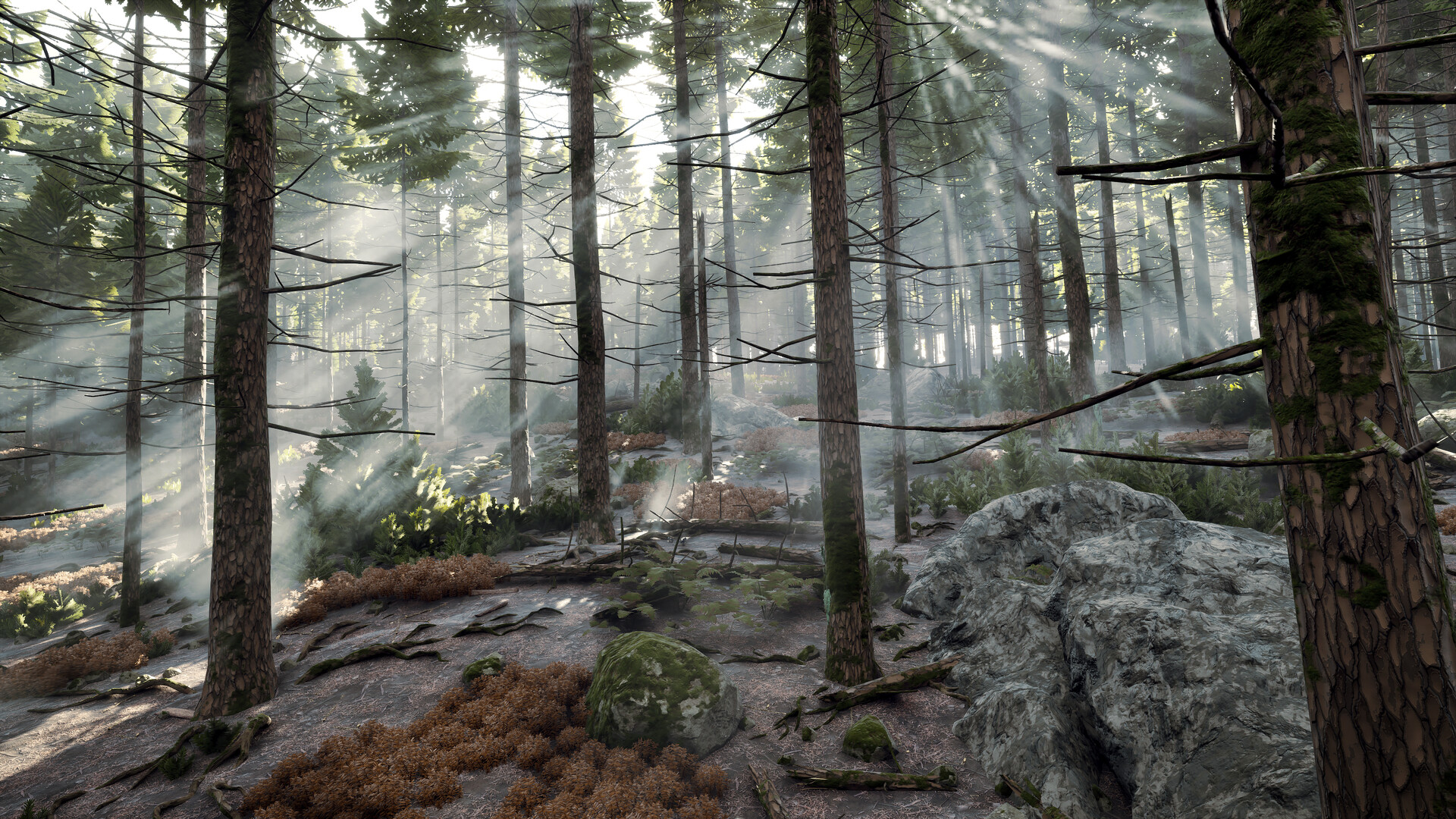 序章：重返往昔！/Prologue: Go Wayback! 截图 6