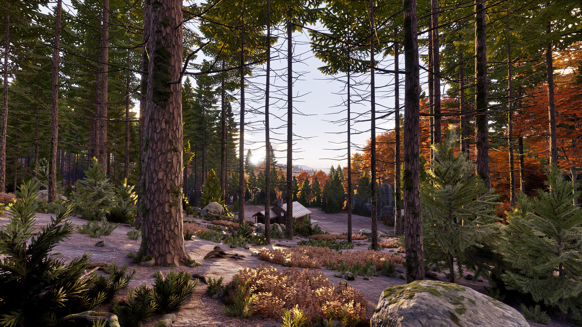 序章：重返往昔！/Prologue: Go Wayback! 截图 8