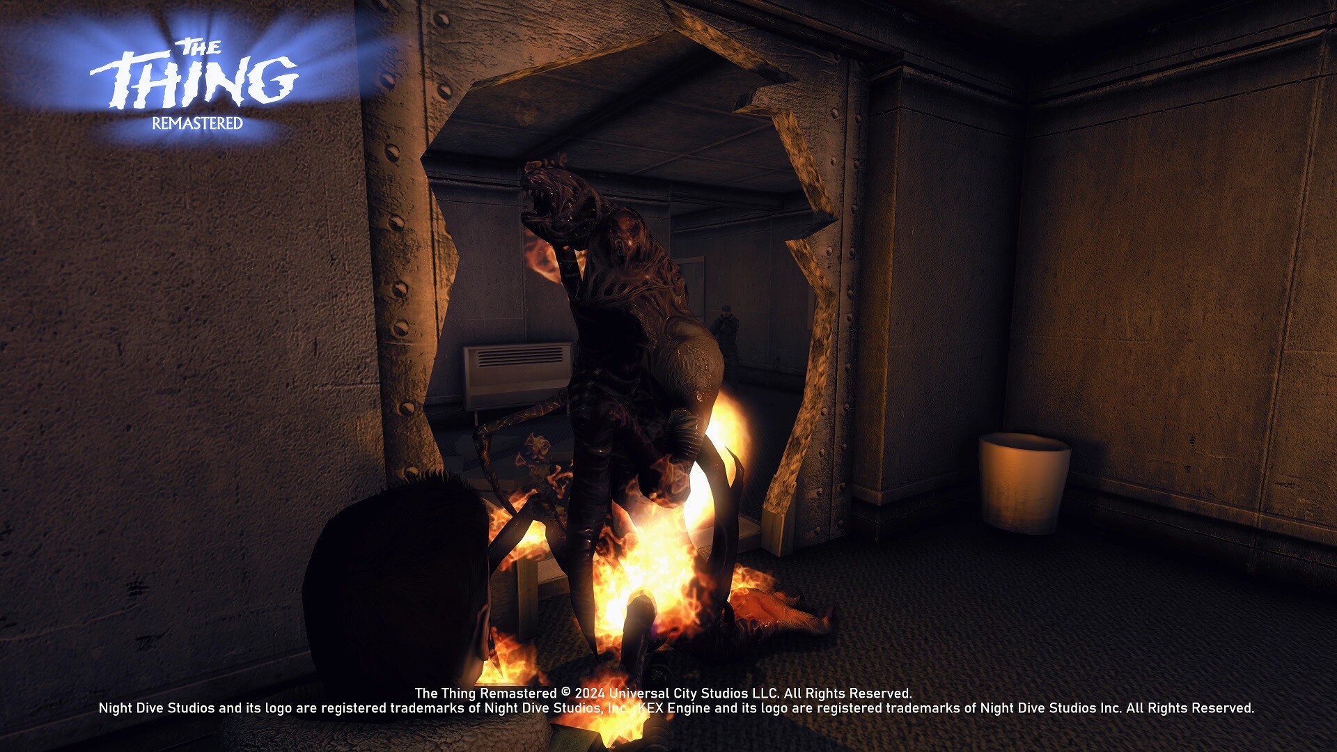 Image 8
