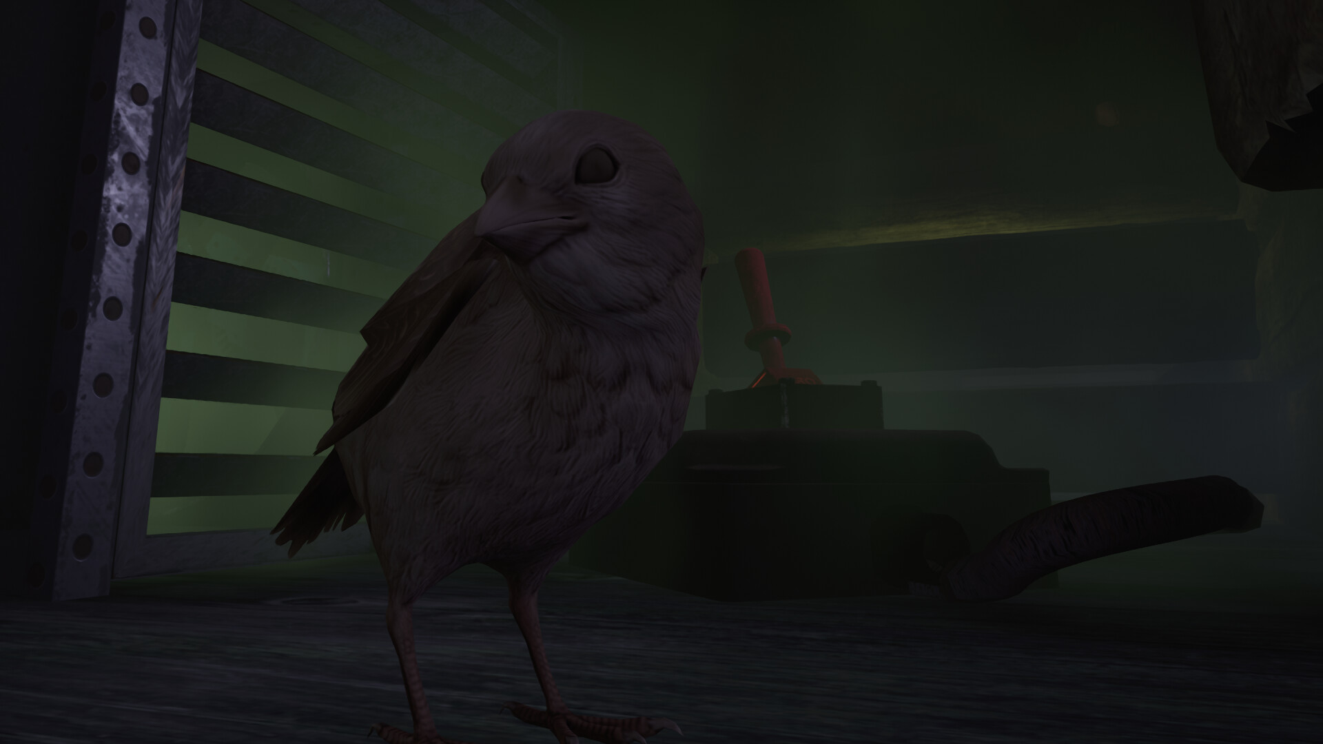 sparrow_release