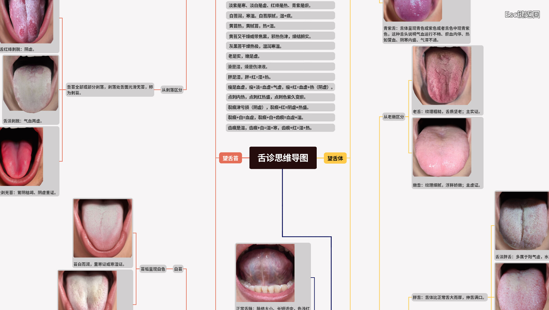 中医模拟传承人 - 4