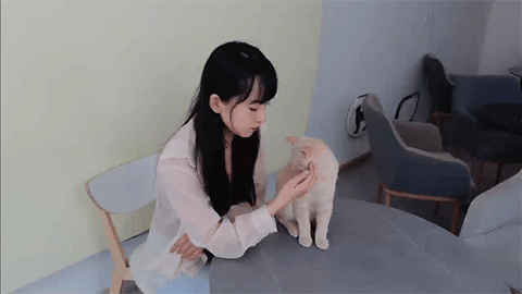 心动满屋|Steam官中