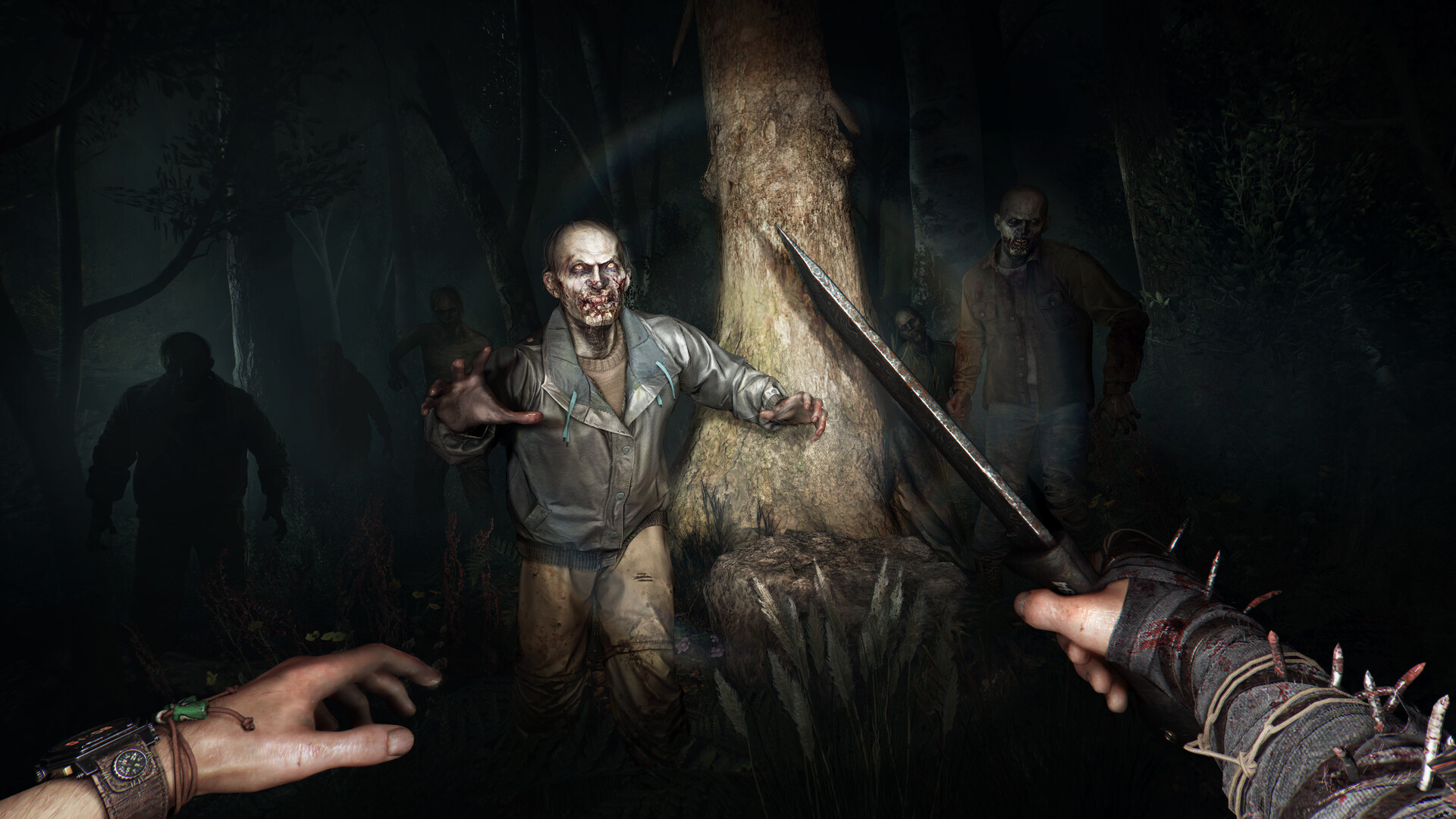 消逝的光芒：困兽 Dying Light: The Beast|v1.2.0.461f50|容量45.8GB|支持网络联机|官方简体中文|支持键盘.鼠标|免安装中文版