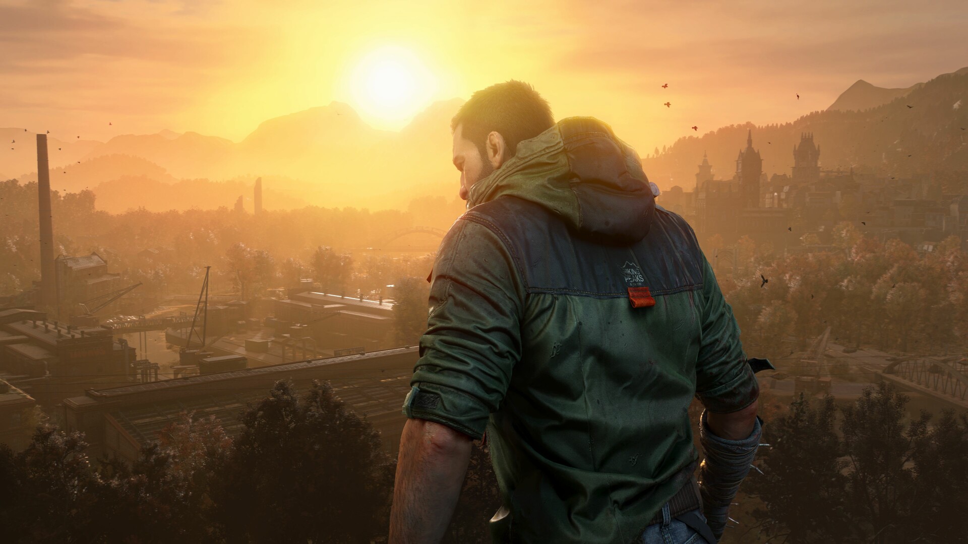消逝的光芒：困兽|官方中文|支持手柄|Dying Light: The Beast Deluxe Edition插图1