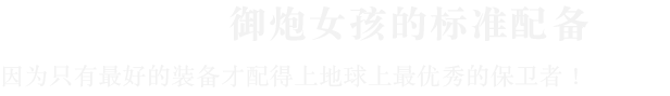 御炮少女 官方中文版 Build.19951756-1.02 新增功能 全DLC 百度网盘 解压即玩