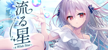 【PC+KR/汉化】流星 -a Wish Star-（流る星 -a Wish Star-）-Angelmoe