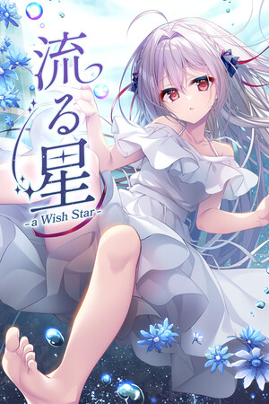 流星 -a wish star-/流る星 -a wish star-