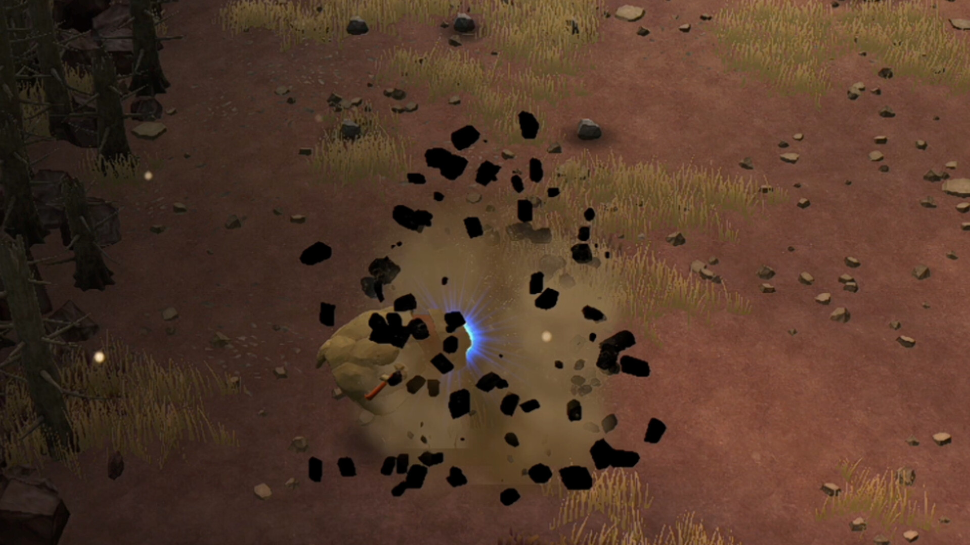 Image 20