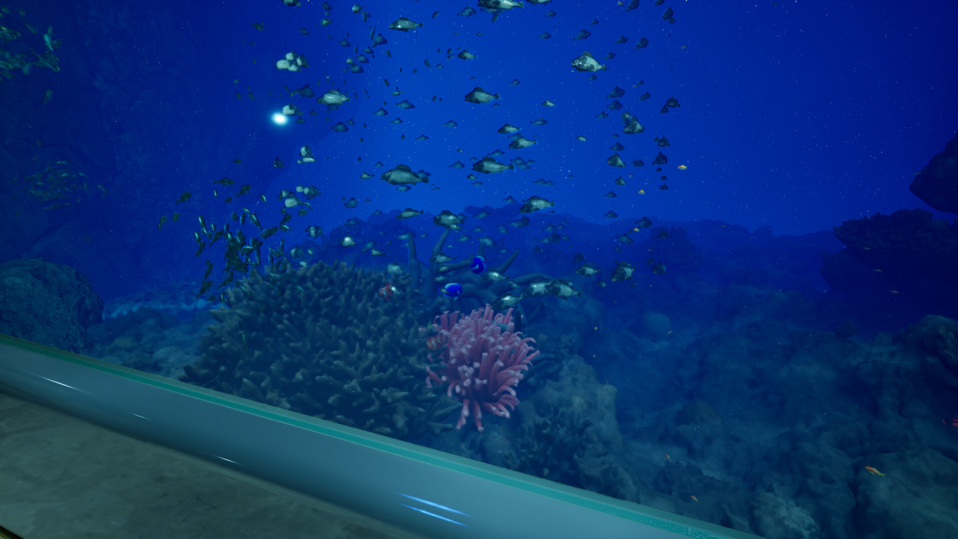 8月32日的水族馆|官方英文|支持手柄|Aquarium at August 32nd cover|8月32日の水族館 - 5