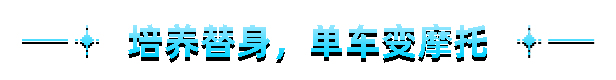 图片[12]-我即军团：替身幸存者 v1.0.7a（官中）-无忧免费游戏网