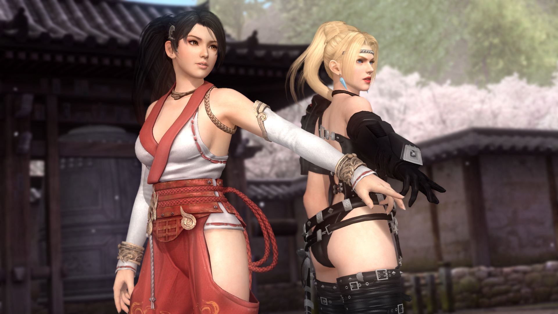 死或生5：最后一战|官方中文|支持手柄|Dead or Alive 5：Last Round - 5