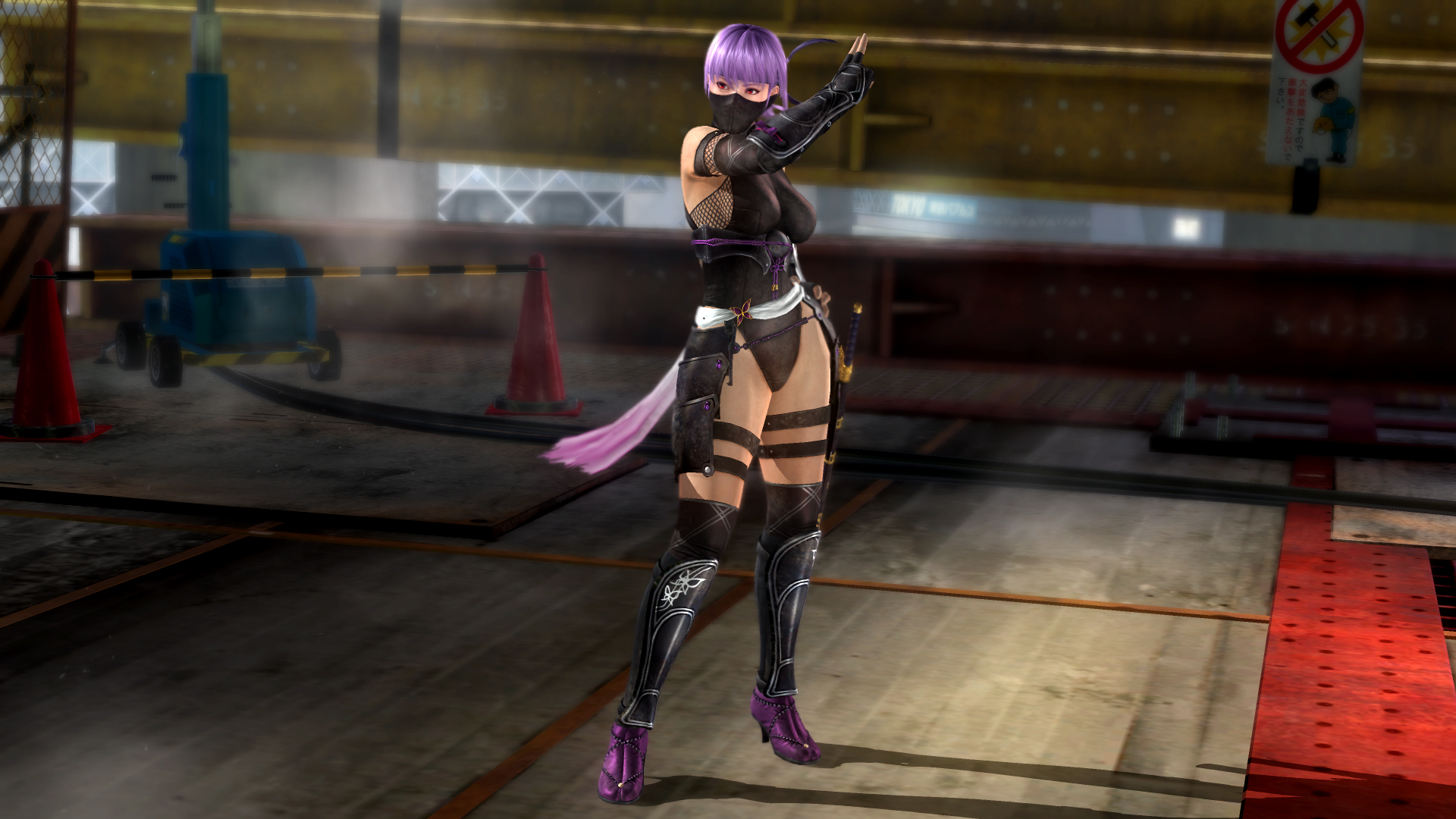 死或生5：最后一战|官方中文|支持手柄|Dead or Alive 5：Last Round - 16