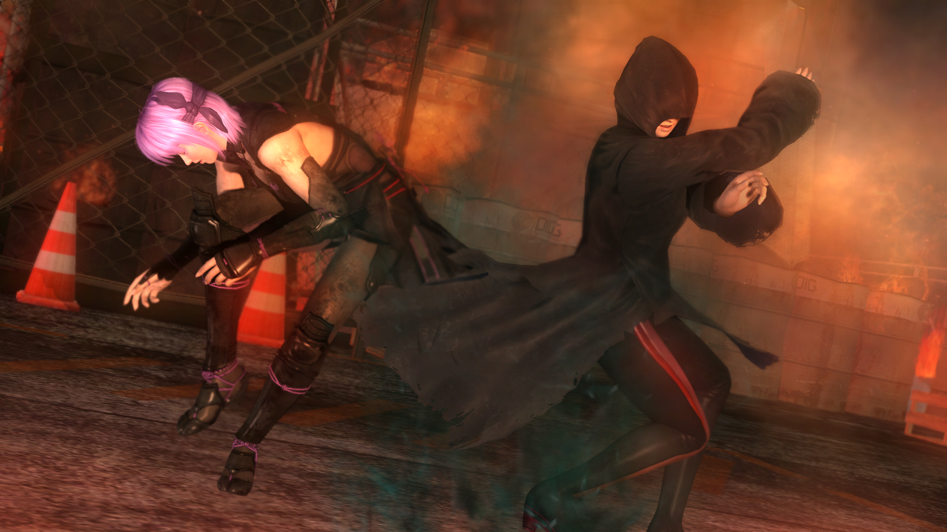 死或生5：最后一战|官方中文|支持手柄|Dead or Alive 5：Last Round - 12