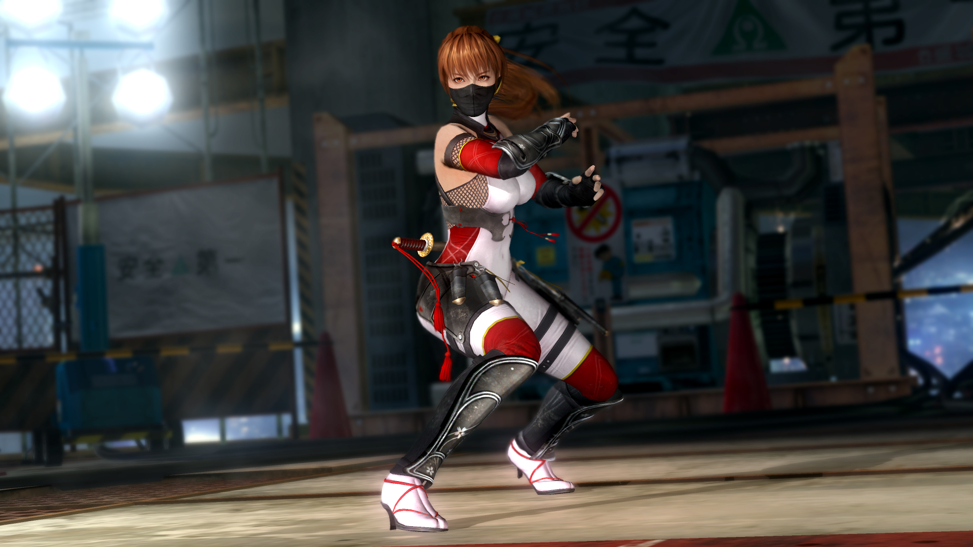 死或生5：最后一战|官方中文|支持手柄|Dead or Alive 5：Last Round - 14