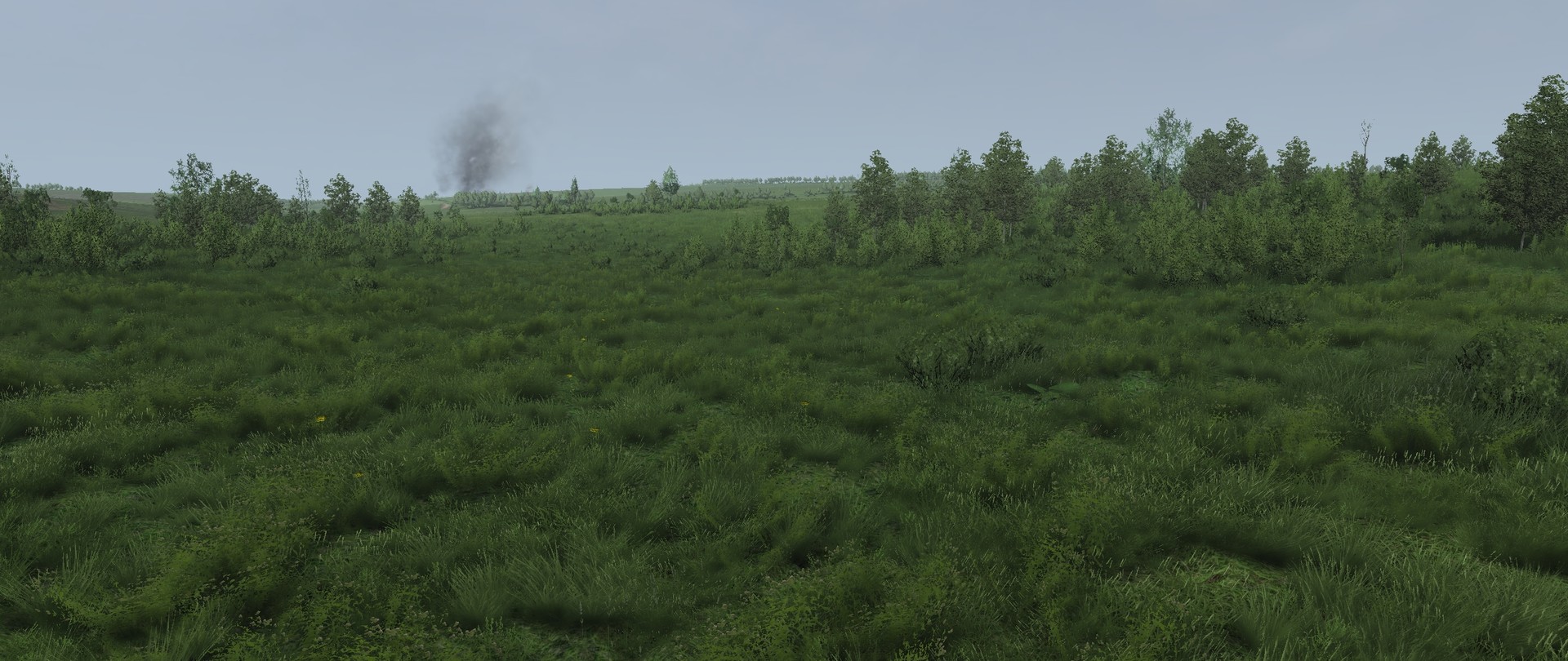 Image 61