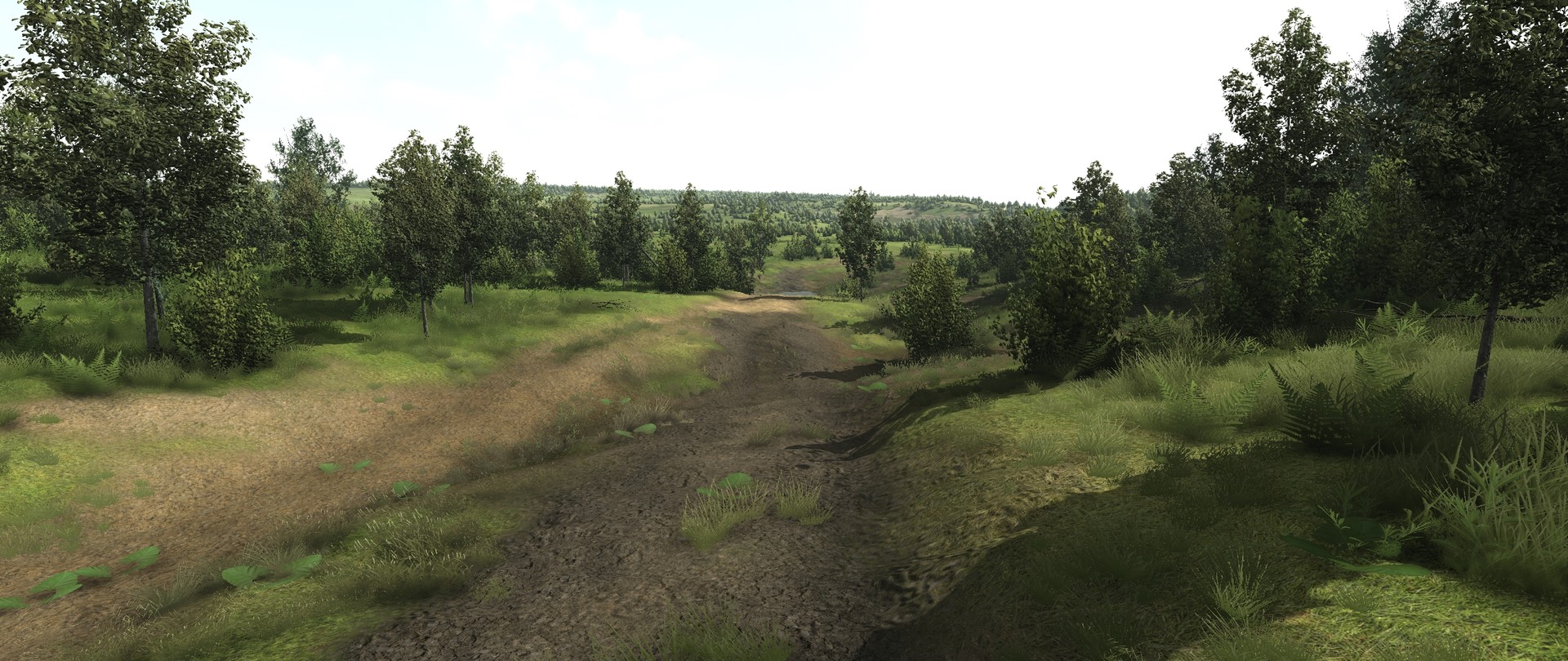 Image 62