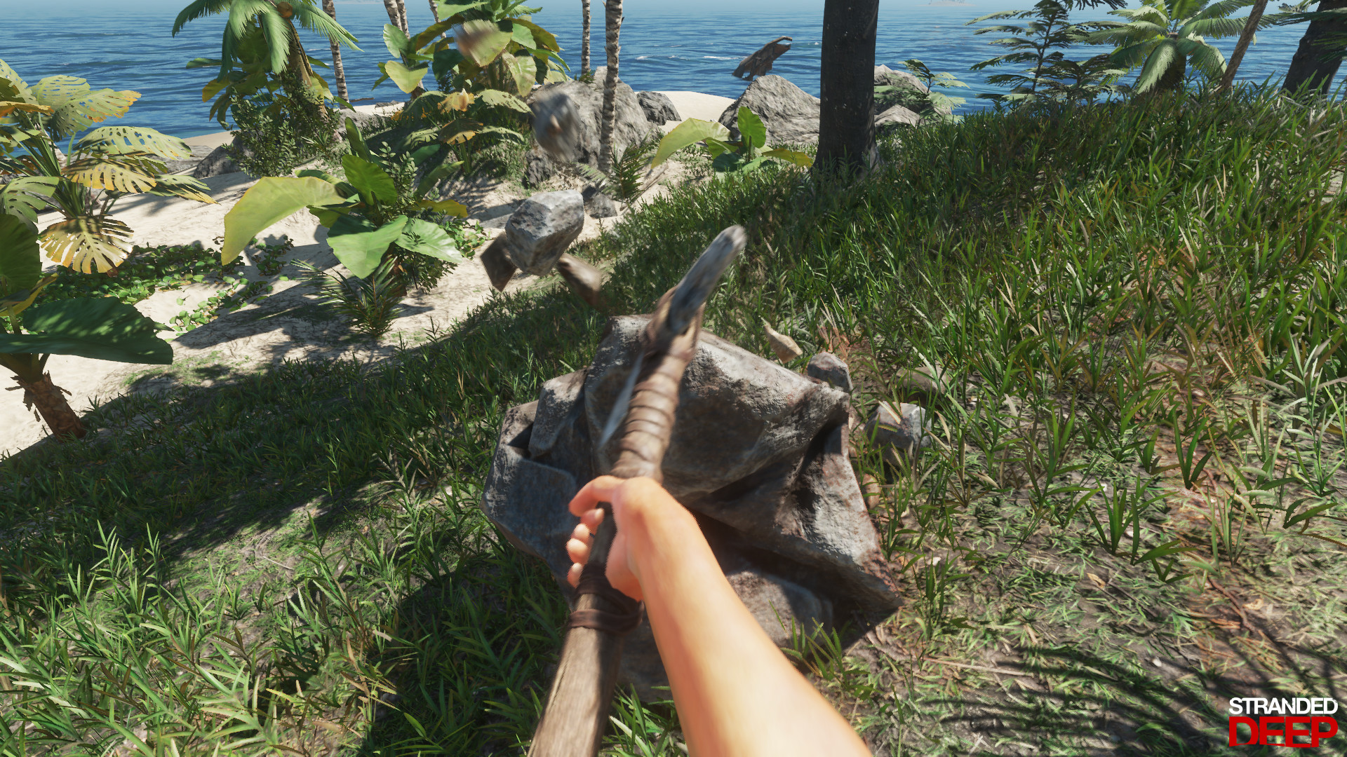 荒岛求生|v1.0.6|汉化中文|Stranded Deep - 6