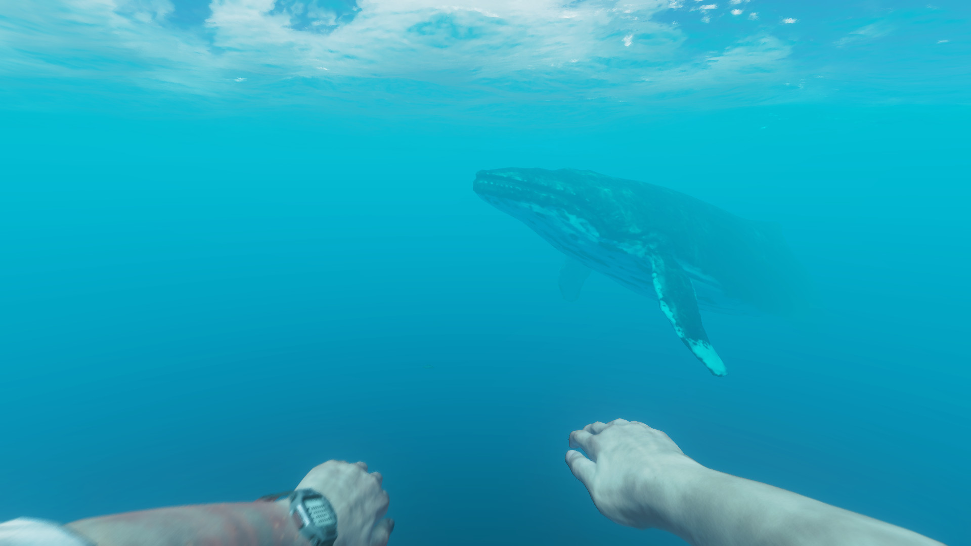 荒岛求生|v1.0.6|汉化中文|Stranded Deep - 11