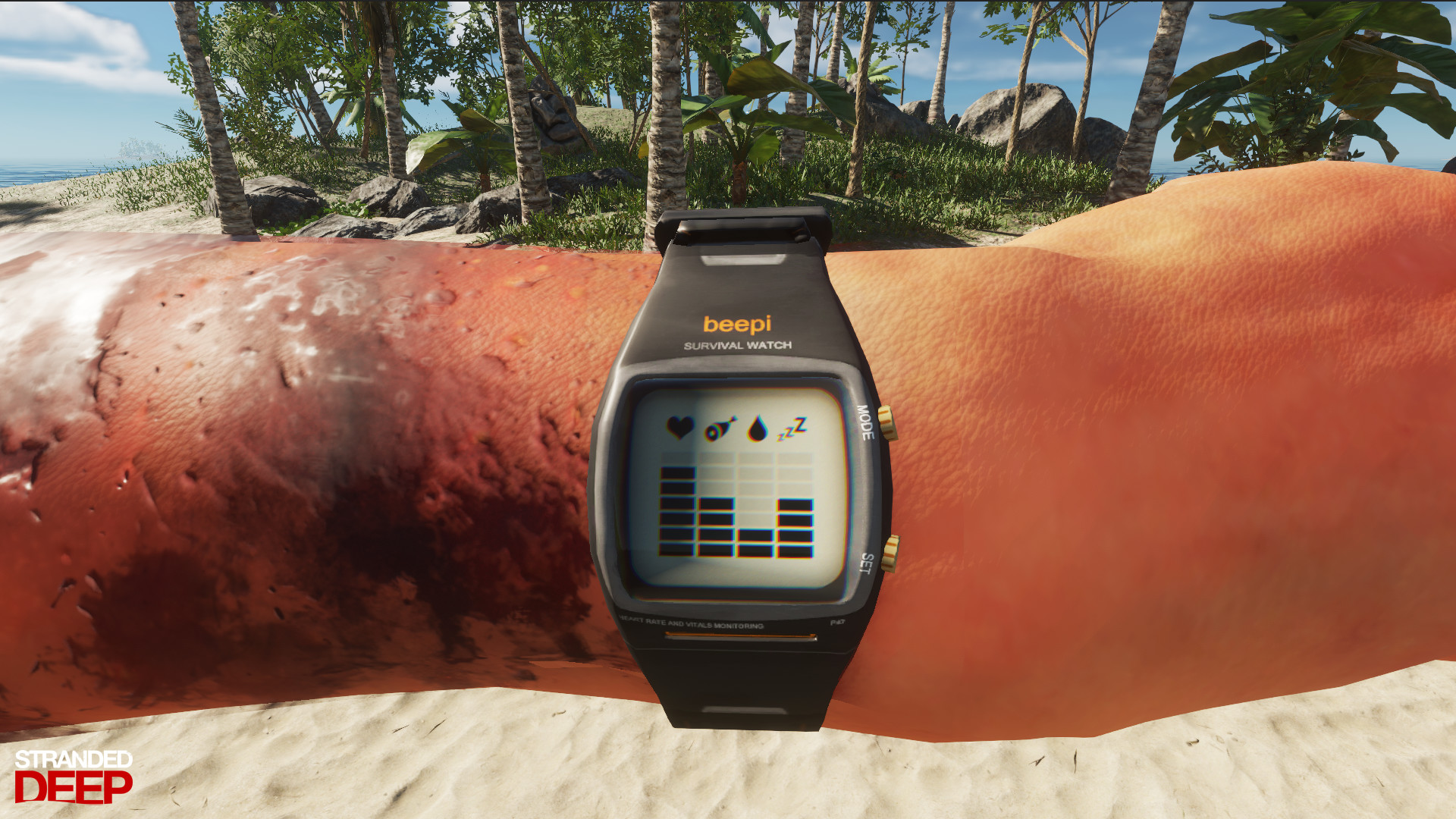 荒岛求生|v1.0.6|汉化中文|Stranded Deep - 12