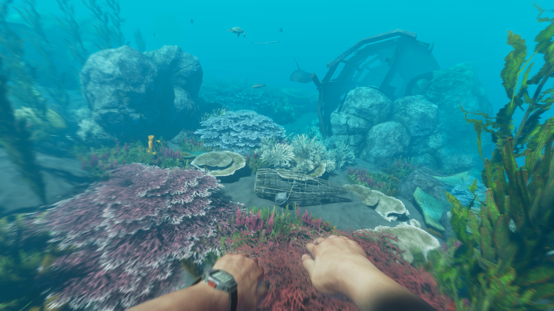 荒岛求生|v1.0.6|汉化中文|Stranded Deep - 4