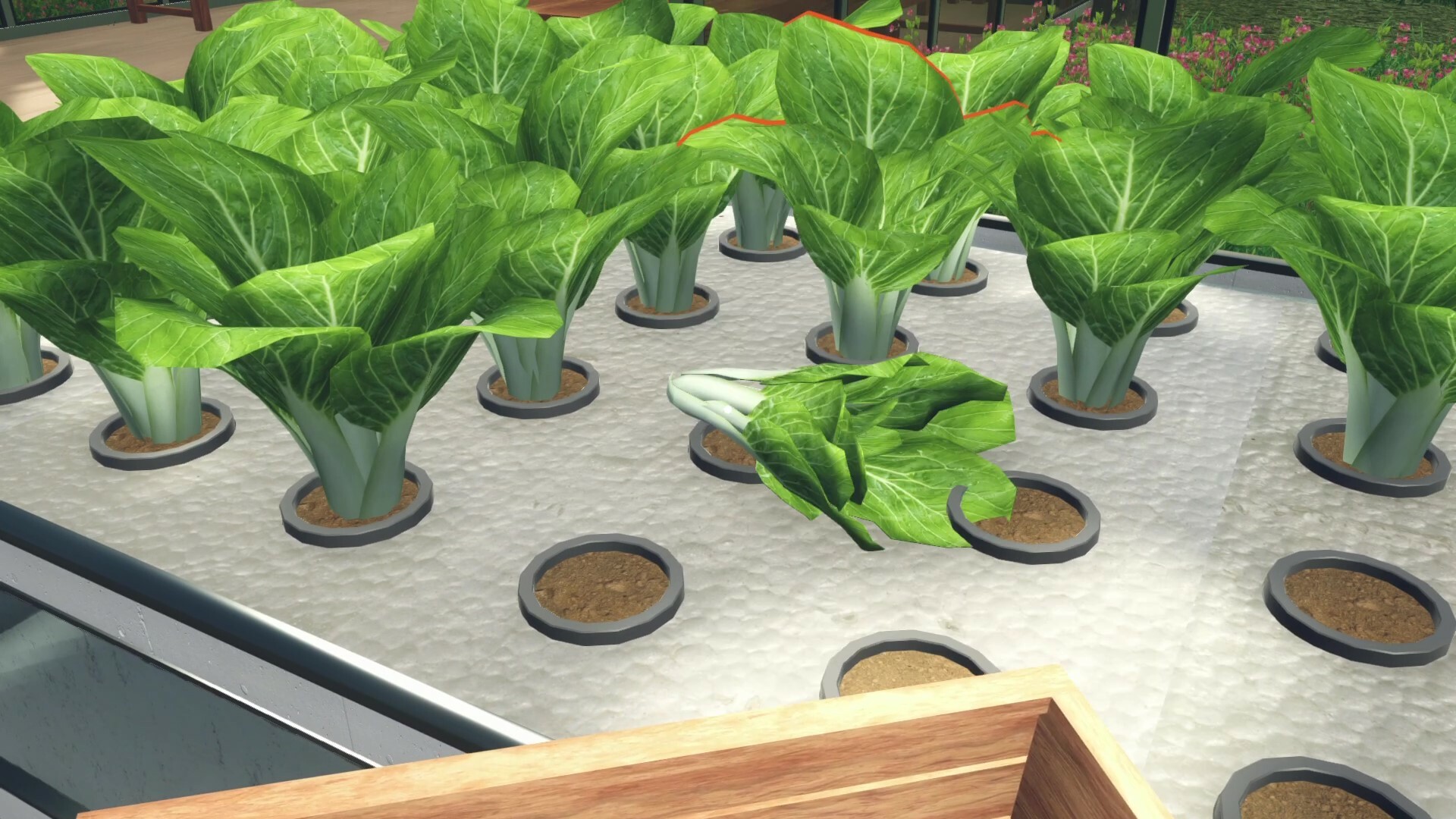 水培农场和商店模拟器|v20250814|官方中文|Hydroponics Farm & Store Simulator|水产商店模拟器 - 13